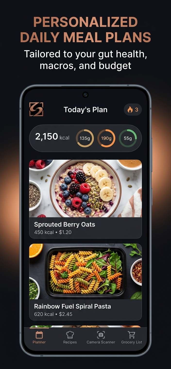 Today · Daily Plan